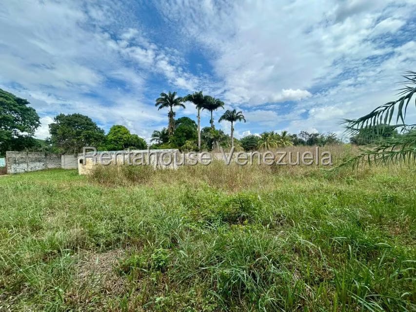 Terreno (Comercial) en Venta en Municipio Peña, Yaracuy - 9