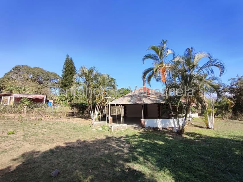 Terreno (Comercial) en Venta en La Guacamaya, Aragua - 12