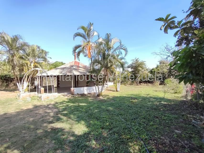 Terreno (Comercial) en Venta en La Guacamaya, Aragua - 27