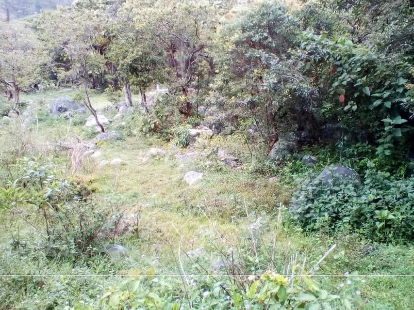 Terreno (Residencial) en Venta en El Valle, Merida - 2