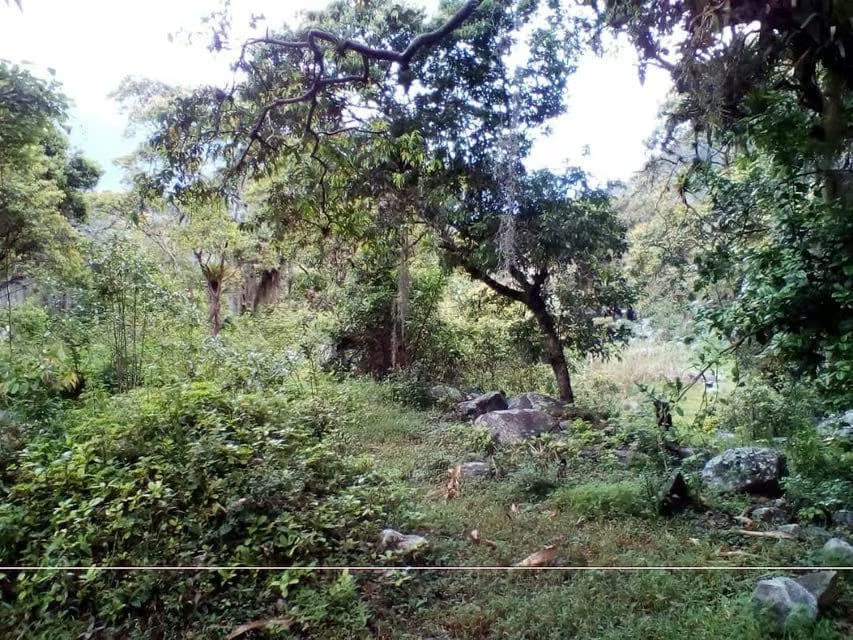 Terreno (Residencial) en Venta en El Valle, Merida - 12