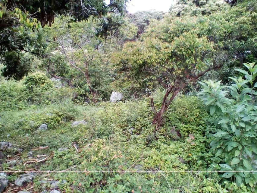 Terreno (Residencial) en Venta en El Valle, Merida - 13