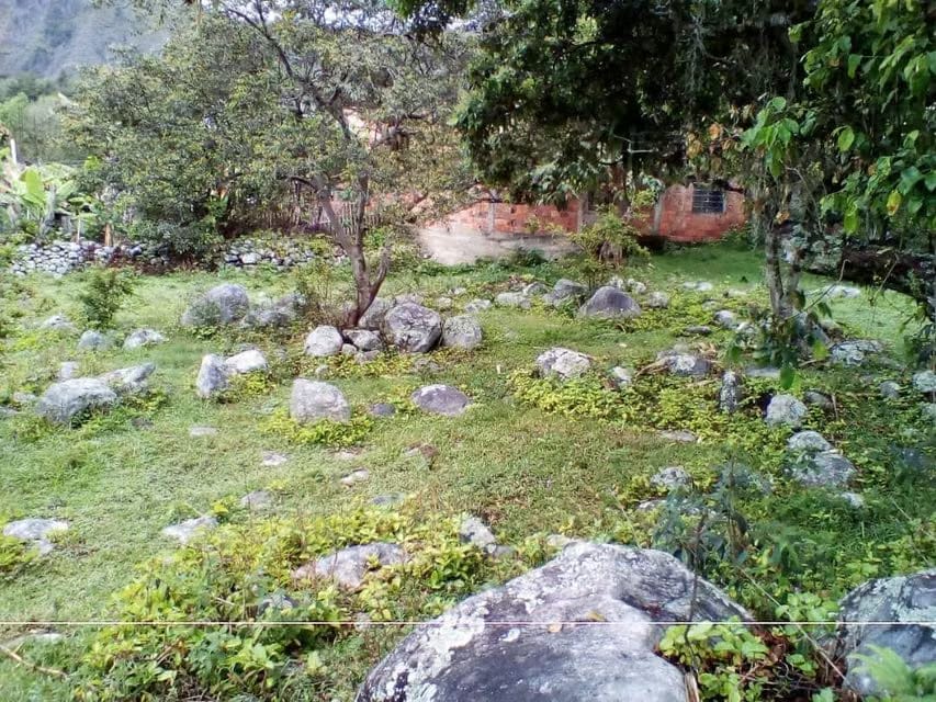 Terreno (Residencial) en Venta en El Valle, Merida - 15