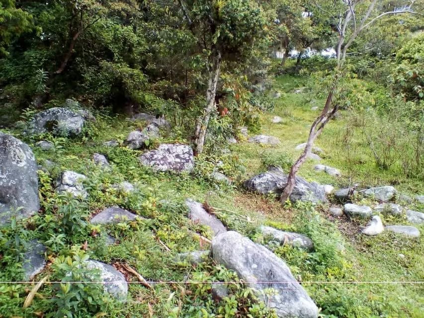 Terreno (Residencial) en Venta en El Valle, Merida - 3