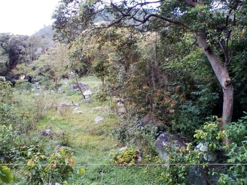 Terreno (Residencial) en Venta en El Valle, Merida - 5