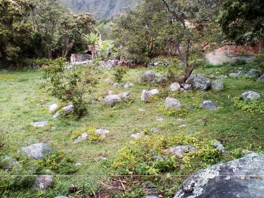 Terreno (Residencial) en Venta en El Valle, Merida - 6