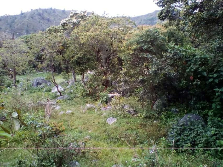 Terreno (Residencial) en Venta en El Valle, Merida - 9