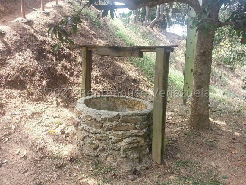 Terreno (Comercial) en Venta en La Virgencita, Vargas - 13