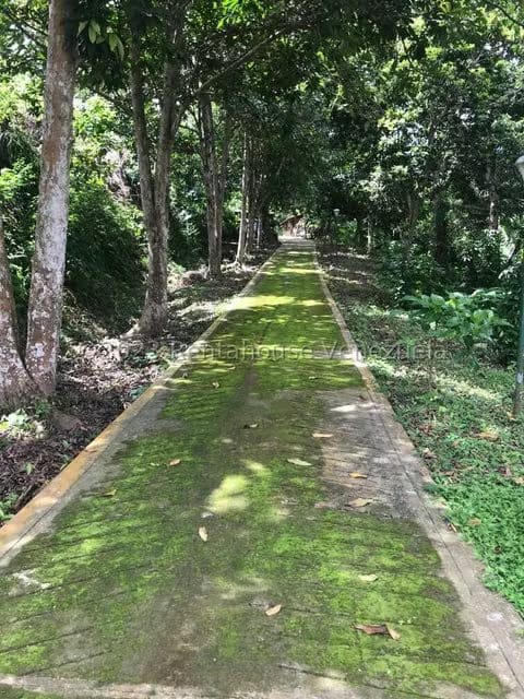 Terreno (Comercial) en Venta en La Virgencita, Vargas - 21