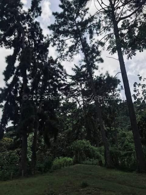 Terreno (Comercial) en Venta en La Virgencita, Vargas - 29
