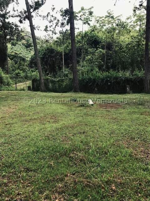 Terreno (Comercial) en Venta en La Virgencita, Vargas - 31
