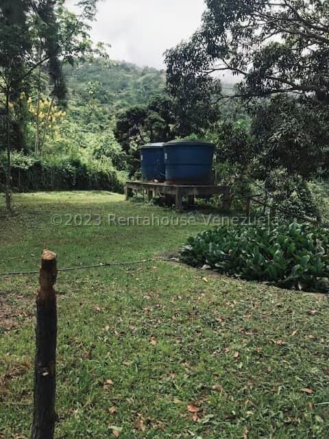 Terreno (Comercial) en Venta en La Virgencita, Vargas - 35