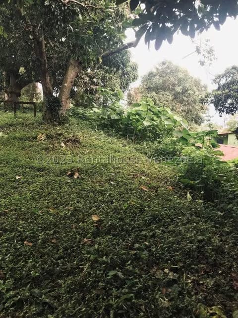 Terreno (Comercial) en Venta en La Virgencita, Vargas - 36