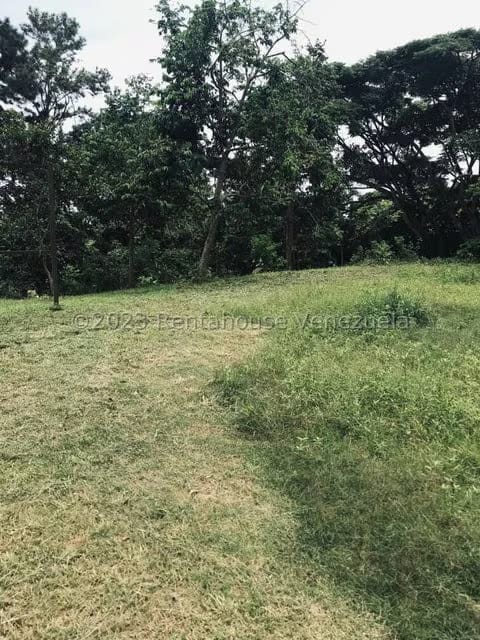 Terreno (Comercial) en Venta en La Virgencita, Vargas - 40