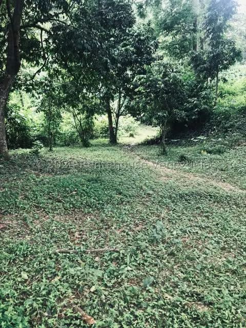 Terreno (Comercial) en Venta en La Virgencita, Vargas - 41
