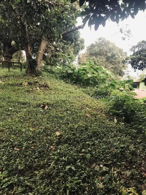 Terreno (Comercial) en Venta en La Virgencita, Vargas - 42