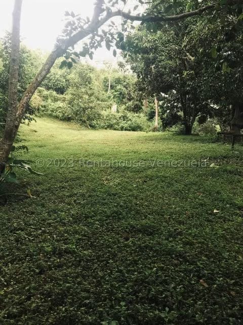 Terreno (Comercial) en Venta en La Virgencita, Vargas - 43