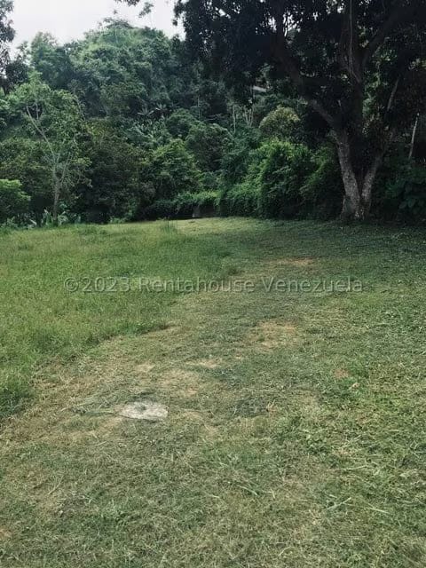 Terreno (Comercial) en Venta en La Virgencita, Vargas - 44