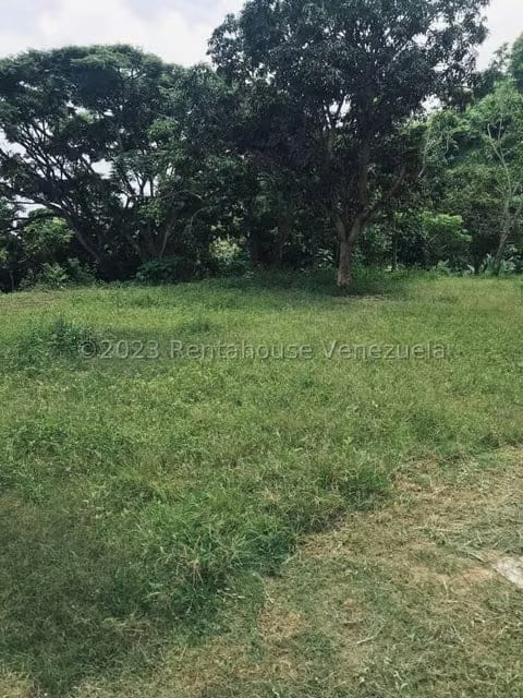 Terreno (Comercial) en Venta en La Virgencita, Vargas - 46