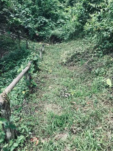 Terreno (Comercial) en Venta en La Virgencita, Vargas - 49