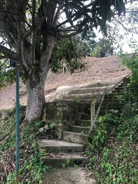 Terreno (Comercial) en Venta en La Virgencita, Vargas - 52