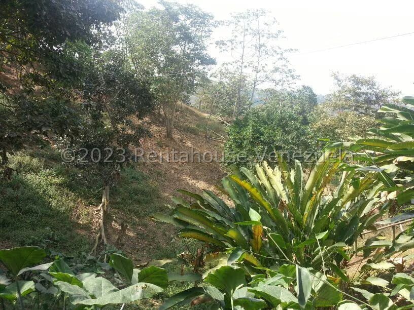 Terreno (Comercial) en Venta en La Virgencita, Vargas - 8