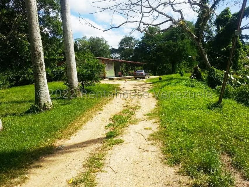 Terreno (Finca) en Venta en Higuerote, Miranda - 2