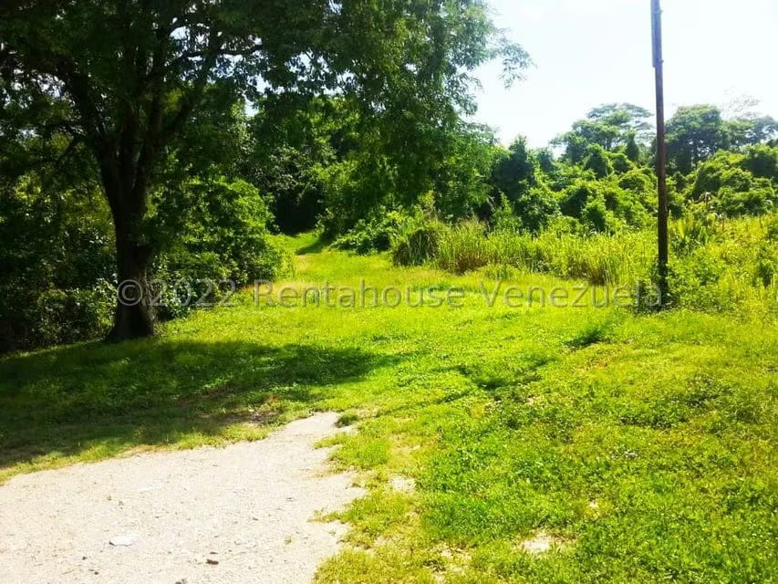 Terreno (Finca) en Venta en Higuerote, Miranda - 19