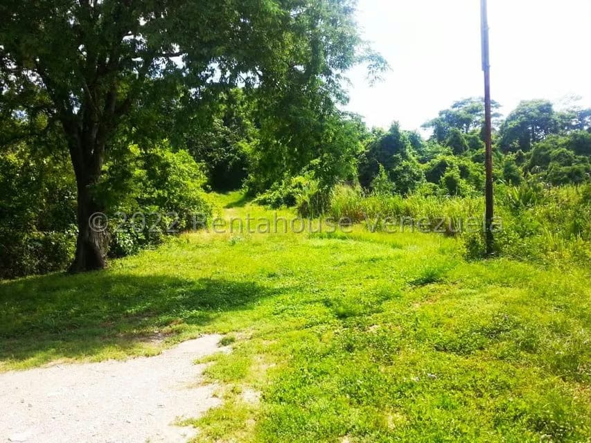 Terreno (Finca) en Venta en Higuerote, Miranda - 3