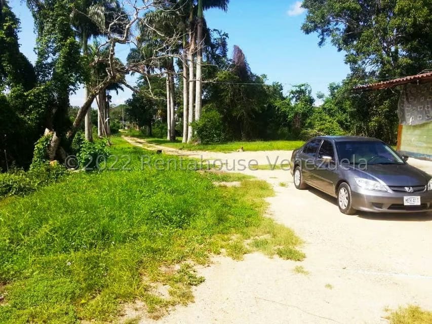 Terreno (Finca) en Venta en Higuerote, Miranda - 24