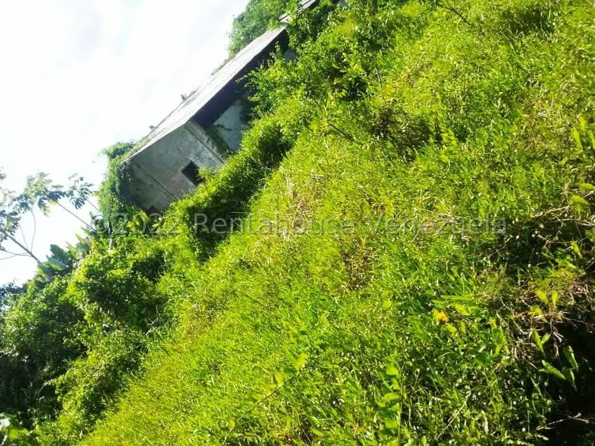 Terreno (Finca) en Venta en Higuerote, Miranda - 33