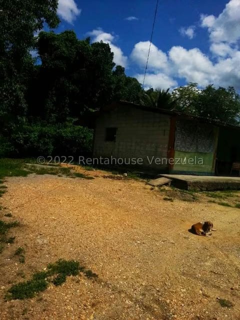 Terreno (Finca) en Venta en Higuerote, Miranda - 34