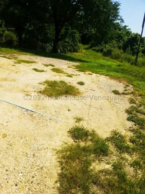 Terreno (Finca) en Venta en Higuerote, Miranda - 39
