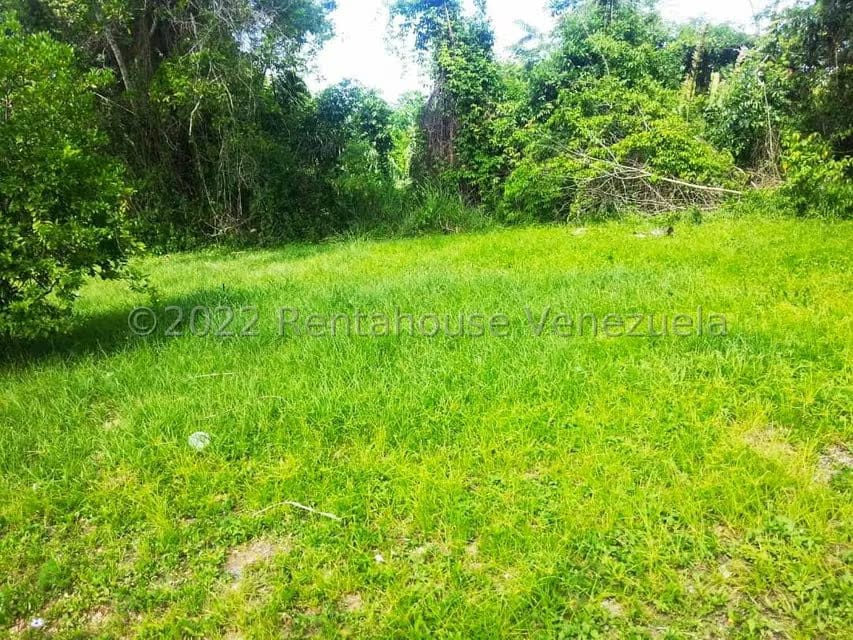 Terreno (Finca) en Venta en Higuerote, Miranda - 41