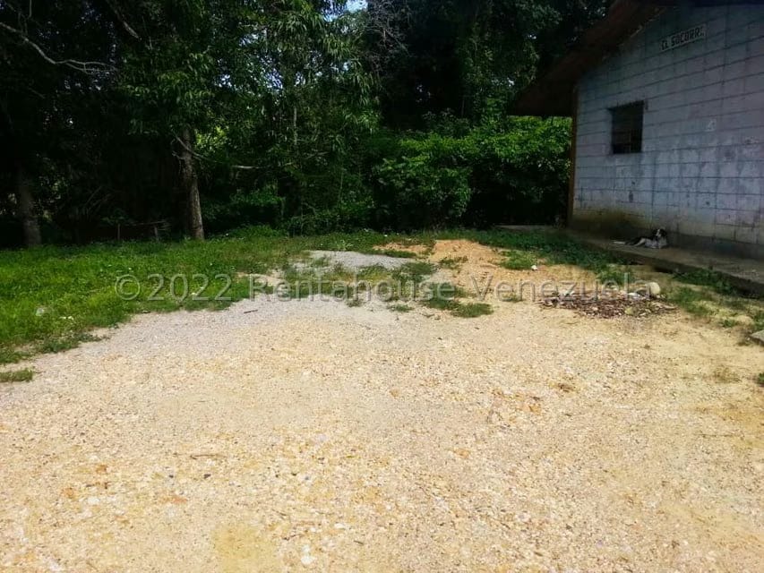 Terreno (Finca) en Venta en Higuerote, Miranda - 45