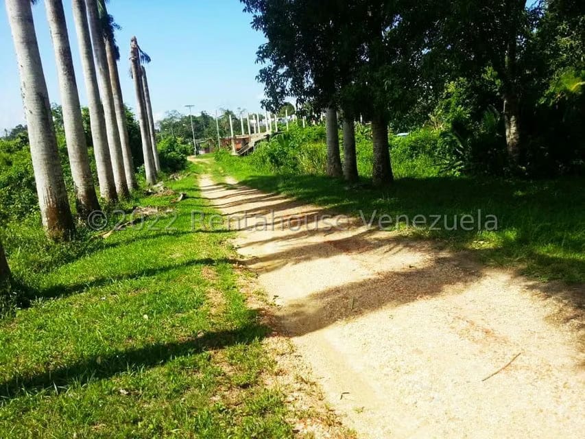 Terreno (Finca) en Venta en Higuerote, Miranda - 50