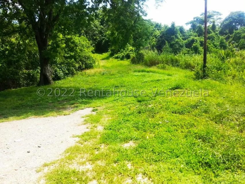 Terreno (Finca) en Venta en Higuerote, Miranda - 6