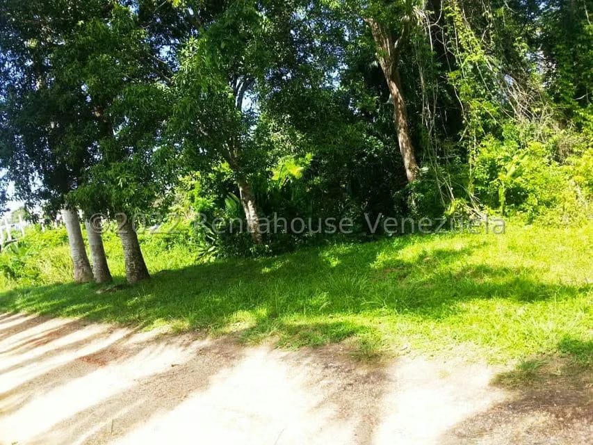 Terreno (Finca) en Venta en Higuerote, Miranda - 51