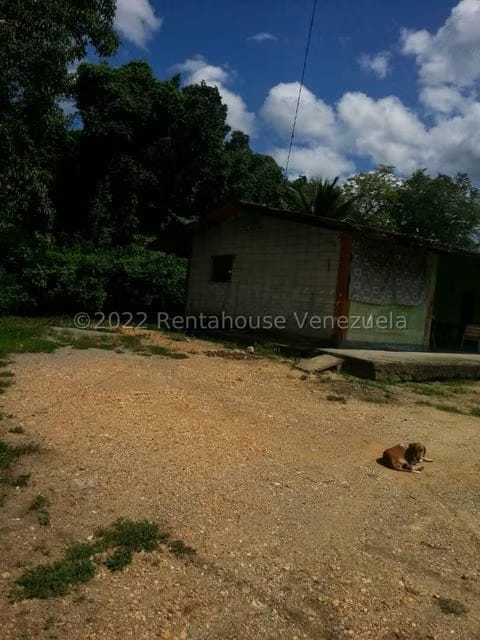 Terreno (Finca) en Venta en Higuerote, Miranda - 55