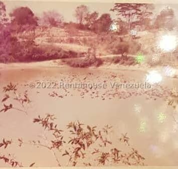 Terreno (Finca) en Venta en Higuerote, Miranda - 62