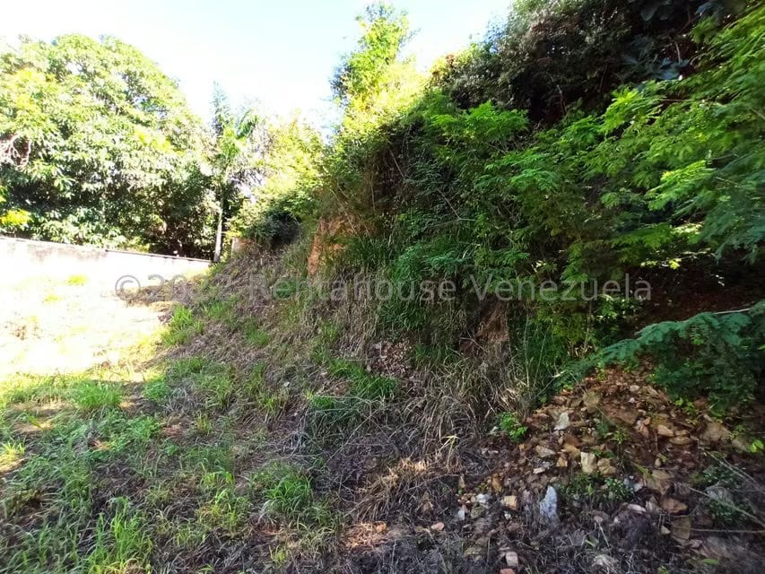 Terreno (Residencial) en Venta en Cantarrana, Aragua - 15