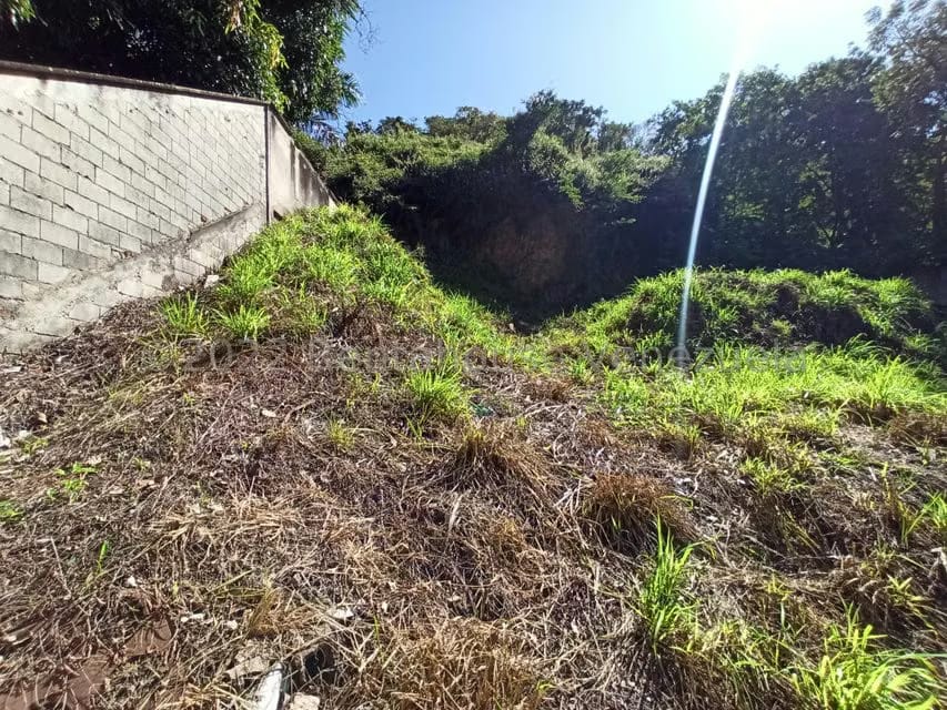 Terreno (Residencial) en Venta en Cantarrana, Aragua - 8