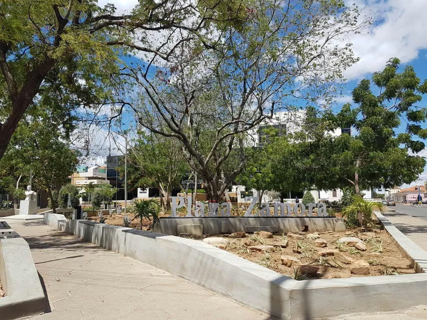 Comercial (Local Comercial) en Venta en Centro, Falcon - 11