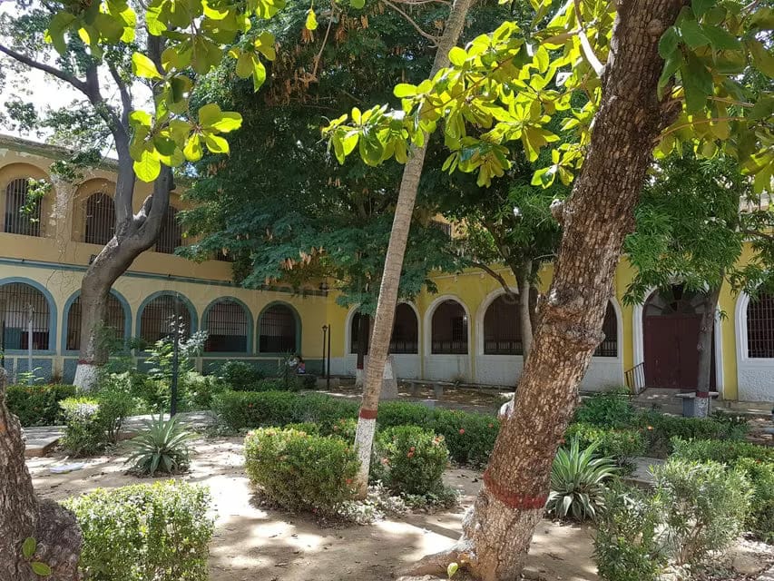 Comercial (Local Comercial) en Venta en Centro, Falcon - 14