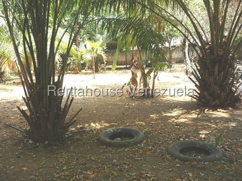 Terreno (Comercial) en Venta en Agua Blanca, Carabobo - 10