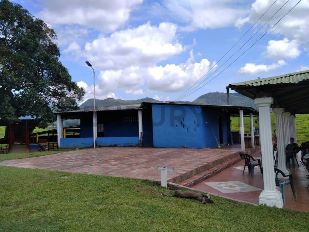 Venta finca pabellón via pregonero - 11