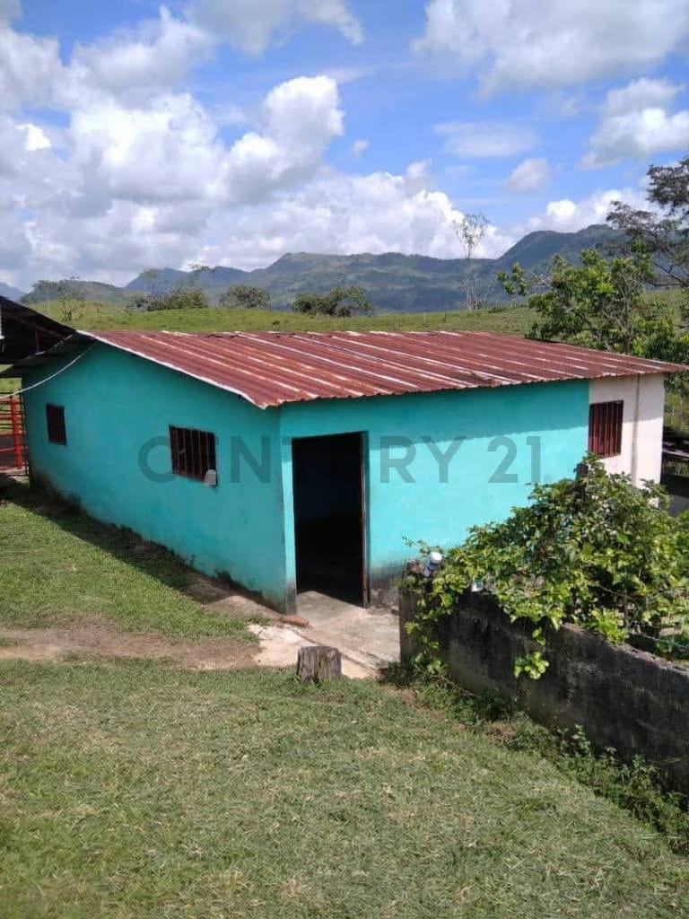 Venta finca pabellón via pregonero - 4
