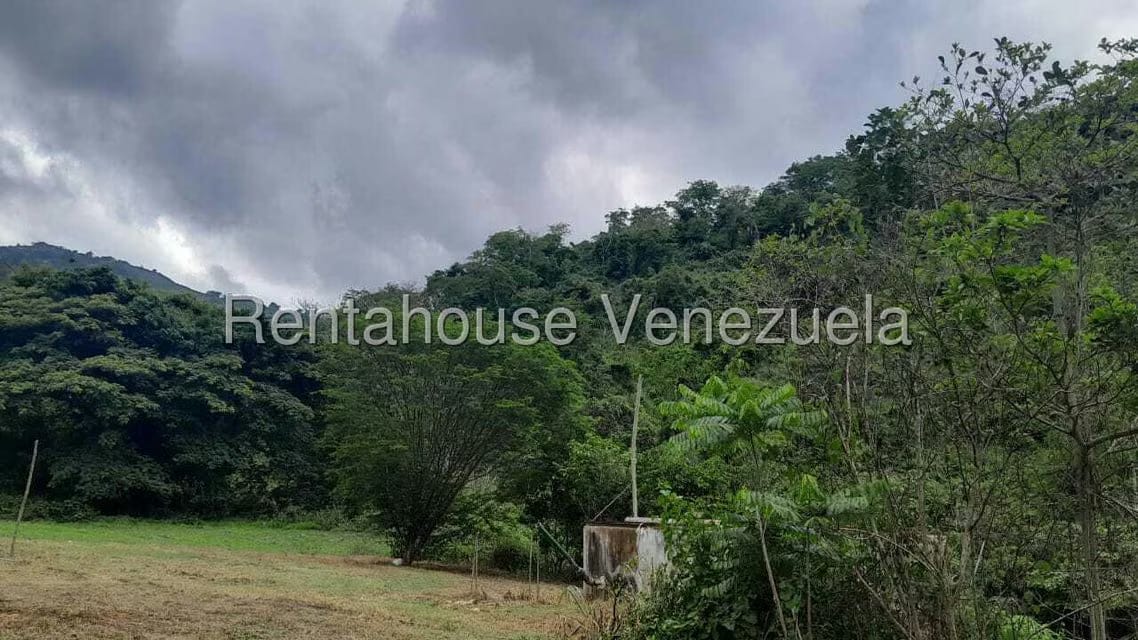 Terreno (Finca) en Venta en Villa Capseoj, Miranda - 3