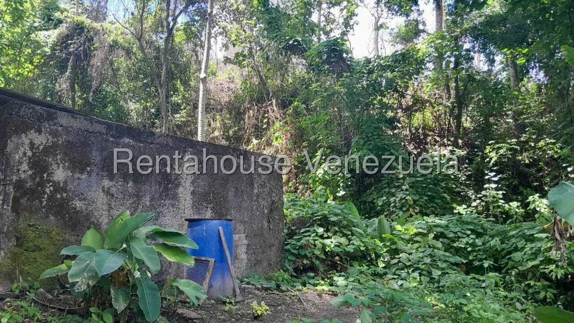 Terreno (Finca) en Venta en Villa Capseoj, Miranda - 9