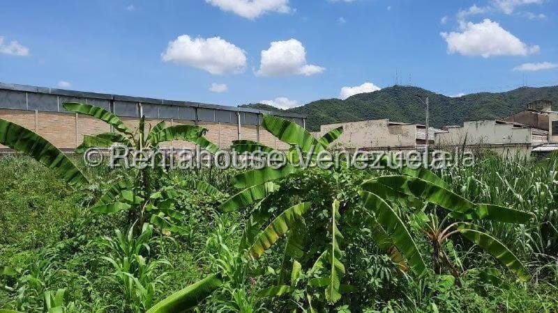 Terreno (Comercial) en Venta en Avenida Bolivar Norte, Carabobo - 8